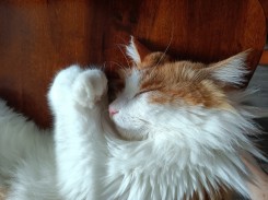 开始动手记录一些事情